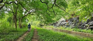 best tours & travels in pollachi , valparai