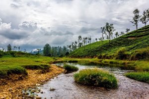 best tours & travels in pollachi , valparai