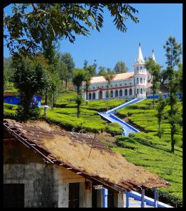 best tours & travels in pollachi , valparai