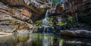 best tours & travels in pollachi , valparai