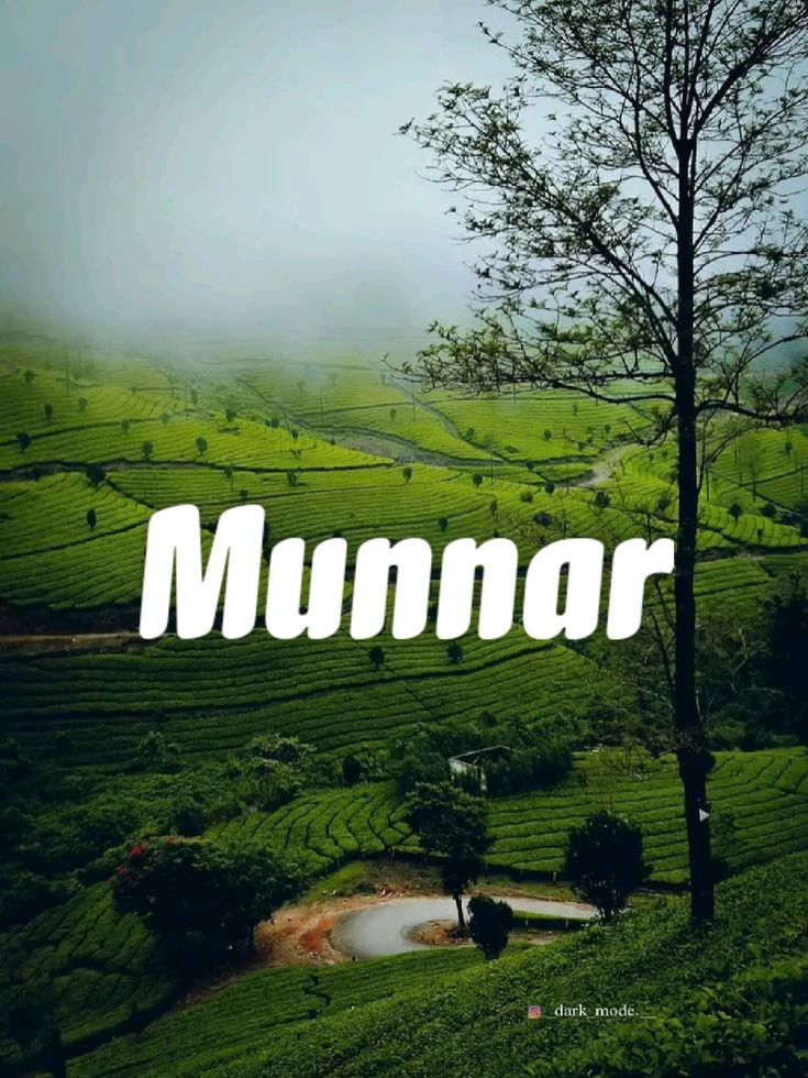 best tours & travels in pollachi , valparai