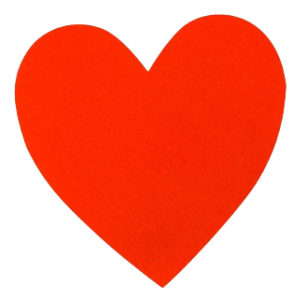 Best tours and travels in pollachi - kanishkaa travels