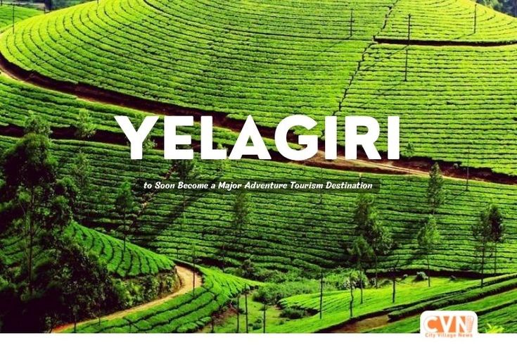 best tours & travels in pollachi , valparai