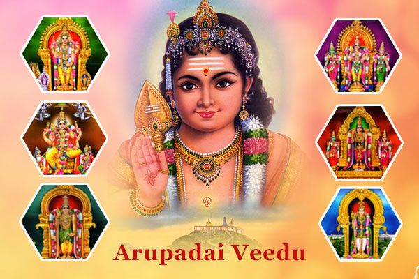 best tours & travels in pollachi , valparai