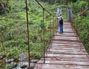 best tours & travels in pollachi , valparai