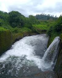 best tours & travels in pollachi , valparai