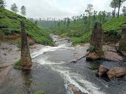 best tours & travels in pollachi , valparai