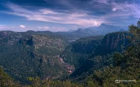 best tours & travels in pollachi , valparai