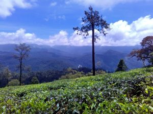 best tours & travels in pollachi , valparai