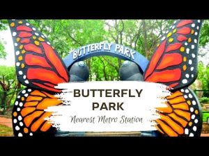 best tours & travels in pollachi , valparai