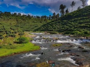 best tours & travels in pollachi , valparai