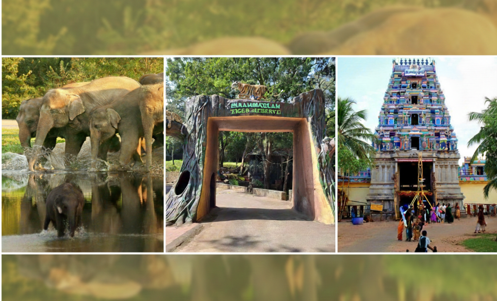 best tours & travels in pollachi , valparai